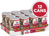 Adult with Turkey Canned Wet Dog Food 12X370G