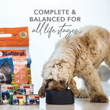 Bpa-Free & Gelatin-Free Canned Dog Food, Beef 370G 12 Pack