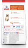 Puppy Large Breed Chicken & Brown Rice Recipe, Dry Dog Food, 12Kg Bag